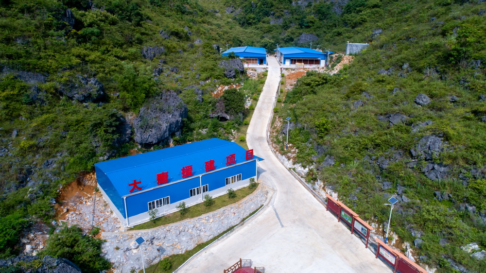 中国总援建的七百弄鸡种鸡育种场--黄嘉标摄1.jpg